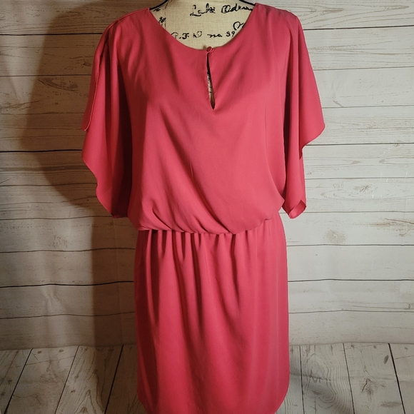Suzi Chin Dresses & Skirts - Suzi chin pink shirt dress medium 10 flowy spring summer dress